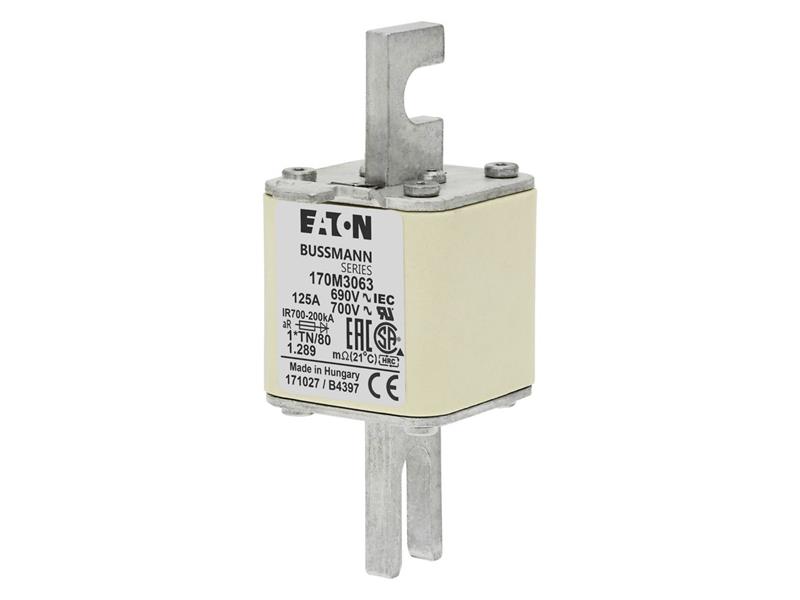 EATON CORPORATION 170M3063