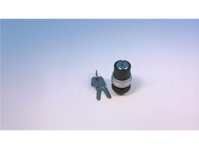 SCHNEIDER ELECTRIC 9001-D4L80