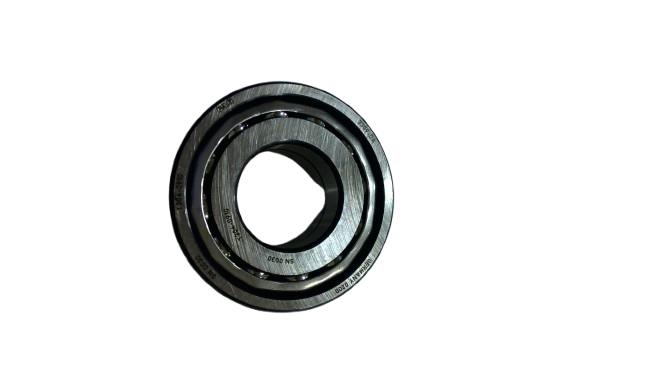 SCHAEFFLER GROUP 3309-DA