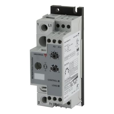 RGC1P48AA12E by CARLO GAVAZZI
