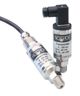 NOSHOK 100-300-1-1-2-7-W/20-02S-S-06-GY