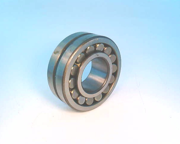 SCHAEFFLER GROUP 22309S