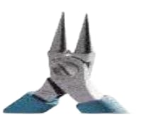 APEX TOOLS 543
