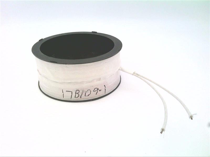 MAXCESS INTERNATIONAL 29L17B1091