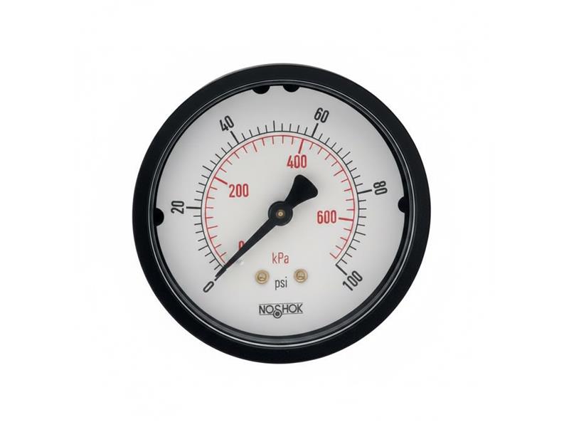 NOSHOK 25-110-6000-PSI/KPA-BP3