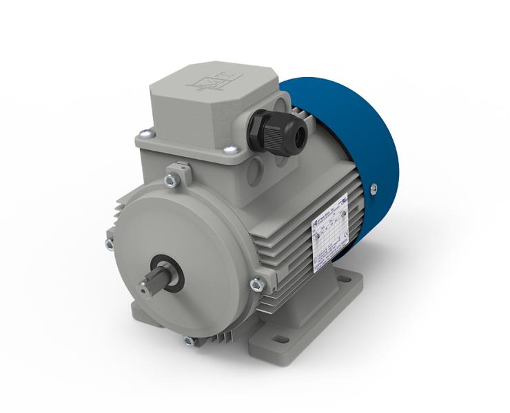 MOTORI ELETTRICI TN80B/8 B5