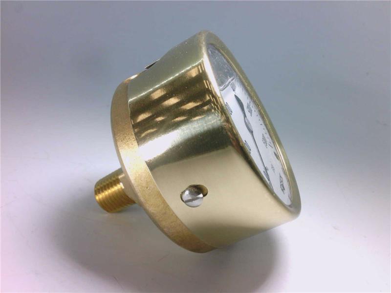 NOSHOK 25-310-6000-PSI