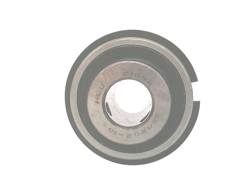 RBI BEARING SER202-10