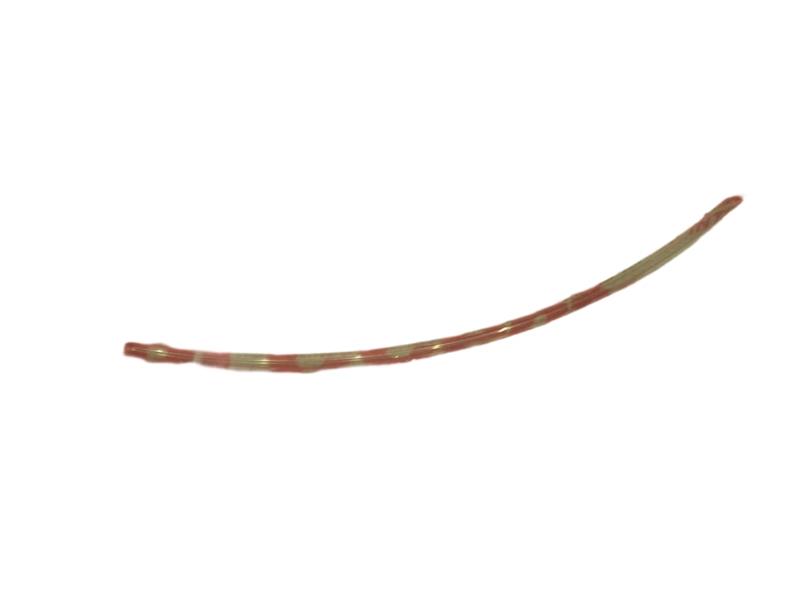 44-NT-1/4-NSF by PARKER