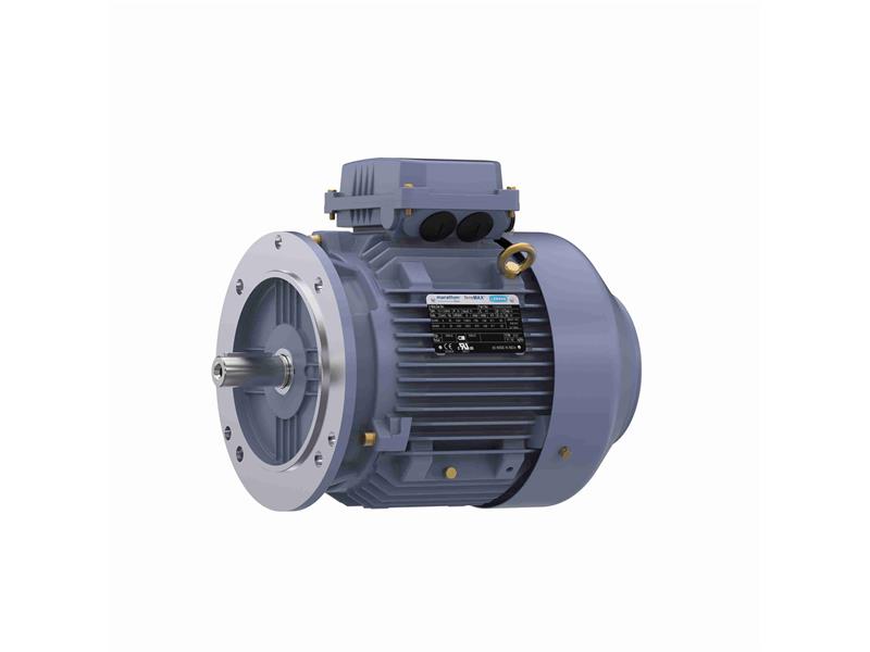 REGAL REXNORD TCA0042AE221GAA009