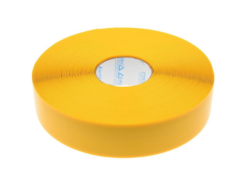 PRO SAFE INC 30-PRO-2RY