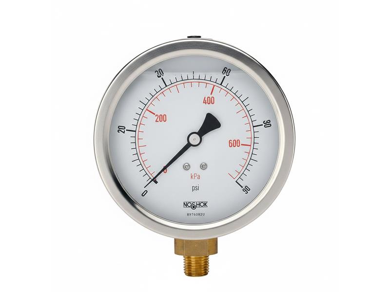 NOSHOK 30-02C-S-V-08C-2F