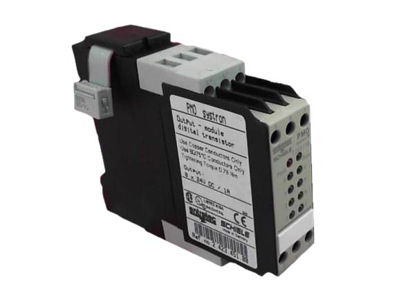 ASEA BROWN BOVERI PMO