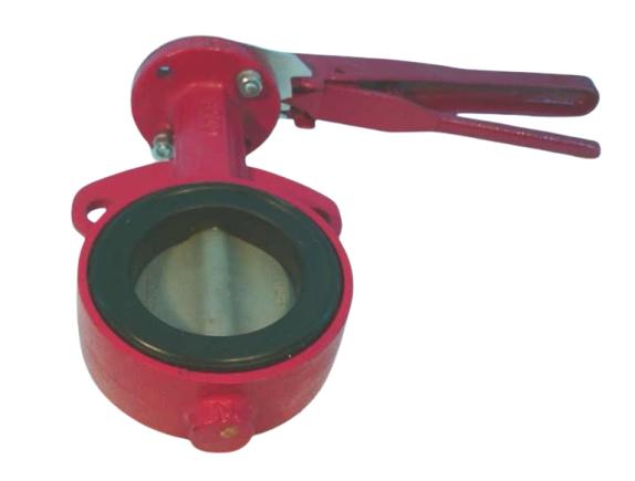BRAY 300300-11010169