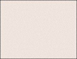 CLEANTEAM 100-95-501W