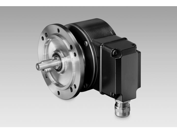 BAUMER ELECTRIC 11077366