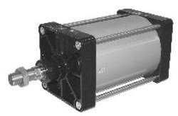 1315.250.250.01A by PNEUMAX