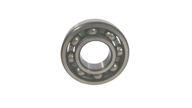 NSK 6309J