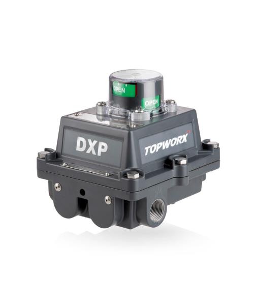 TOPWORX DXP-L20GS3B