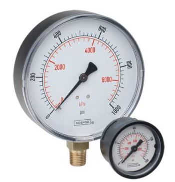 NOSHOK 15-100-100-PSI/KPA