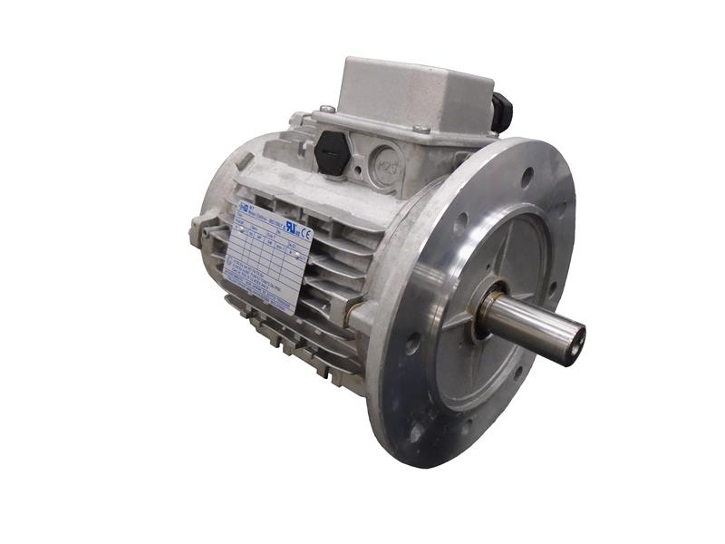 MOTORI ELETTRICI TN90S/8-B5