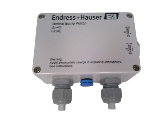 ENDRESS & HAUSER FMX21