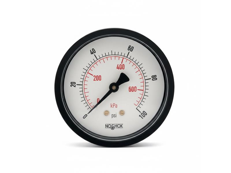 NOSHOK 25-110-160-PSI/KPA-SSB-PMC-BP3
