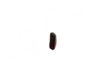 PHILIPS N8T37N