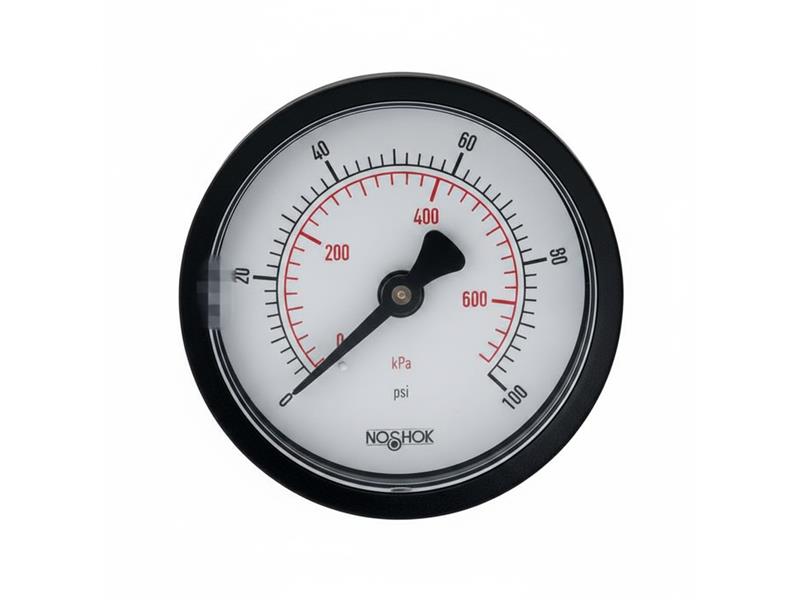 NOSHOK 20-110-30-PSI/KPA-1/8-PMC-BP3