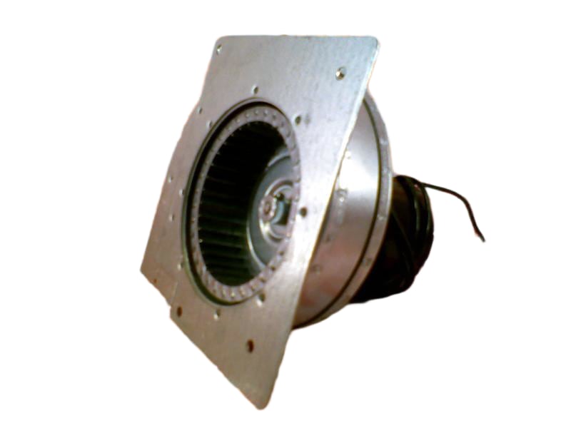 ARMSTRONG R42250-001
