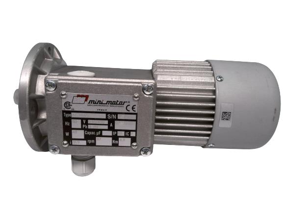 MINI MOTOR AC244PT