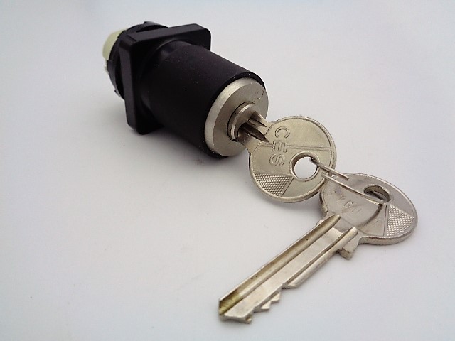 SCHNEIDER ELECTRIC D1LY100