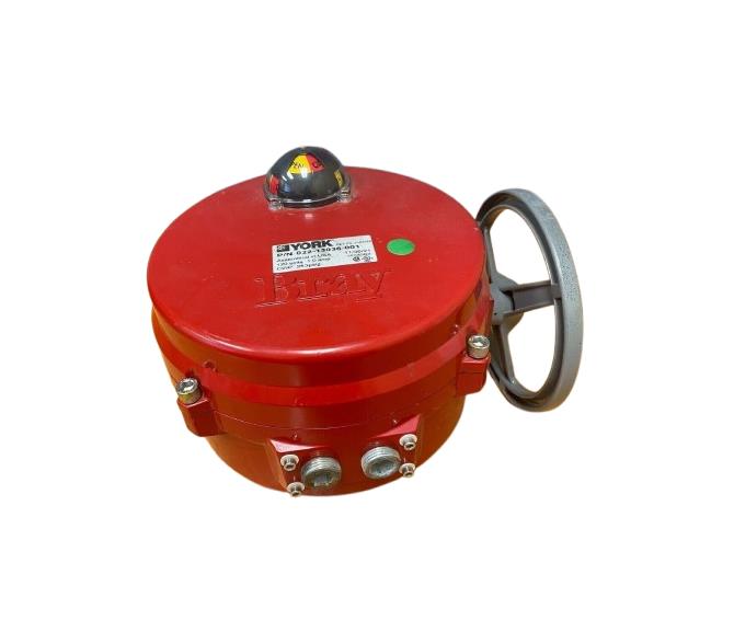 022-13036-001 by JOHNSON CONTROLS