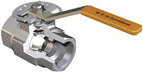 CAMERON 2-R-B136-S8-43-S2-WR