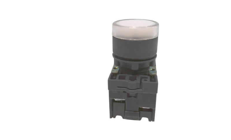 SHAMROCK RCP2-BW316-24