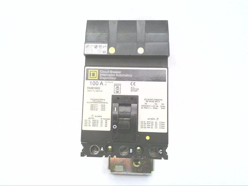 SCHNEIDER ELECTRIC FA36100G