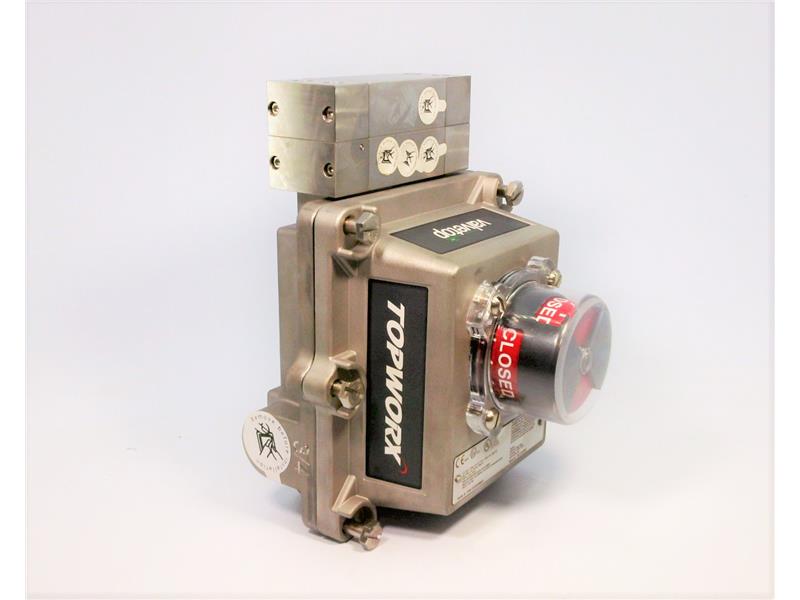 TOPWORX DXS-Z31GM4B872