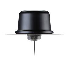 TAOGLAS AQHA.50.A.301111