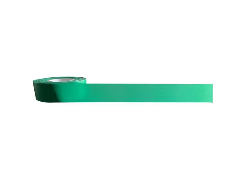 PRO SAFE INC FT-21316300GRN