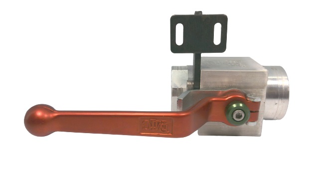 DMIC BVAL-1000B-4321CEZN