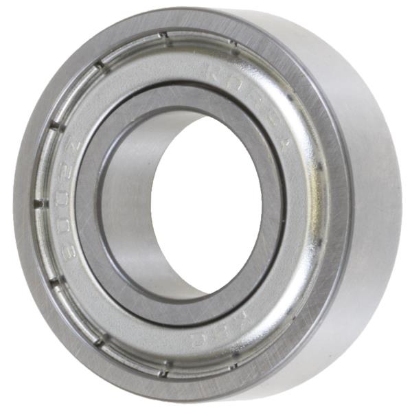 6002.2ZR by SCHAEFFLER GROUP