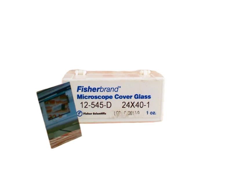 12-545-D by THERMO FISHER SCIENTIFIC