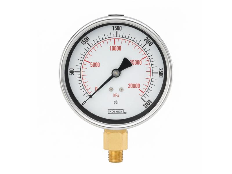 NOSHOK 25-100-300-PSI/KPA-BCR