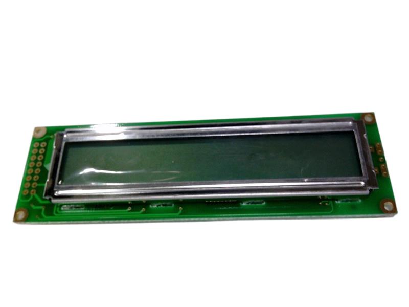 LUMEX LCM-S02402DSR