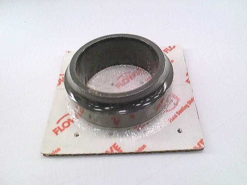 Y5FJ1750L33 by FLOWSERVE