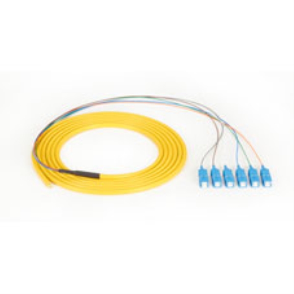 BLACK BOX CORP FOPT50S1-SC-6YL-3