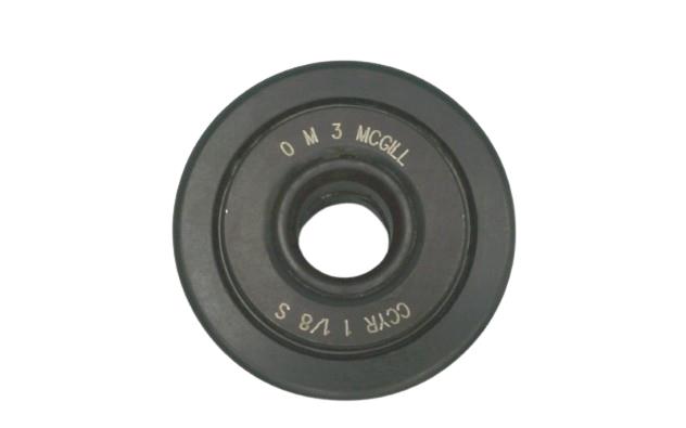 REGAL REXNORD CCYR 1 1/8 S