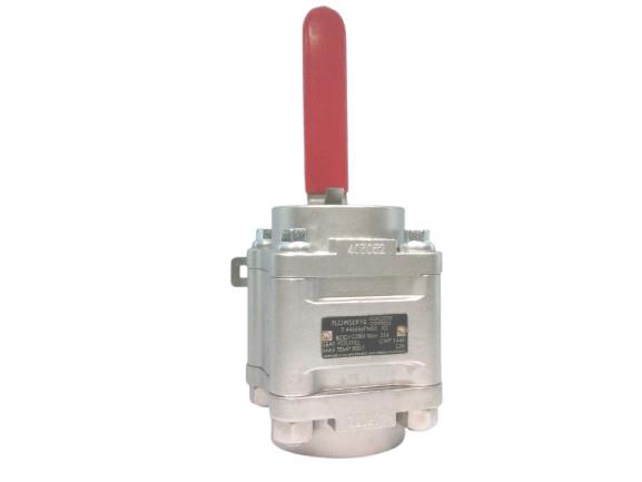 FLOWSERVE 446666PMSE- 2