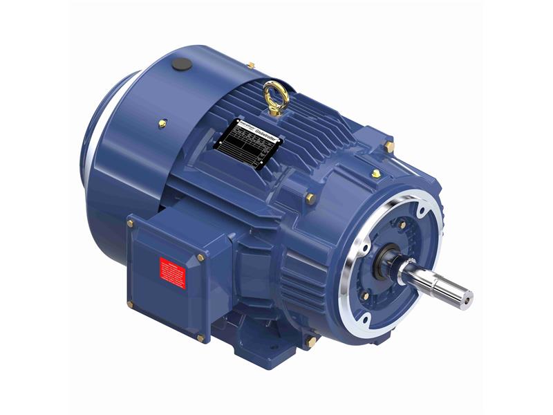 REGAL REXNORD 256TTFCD6082