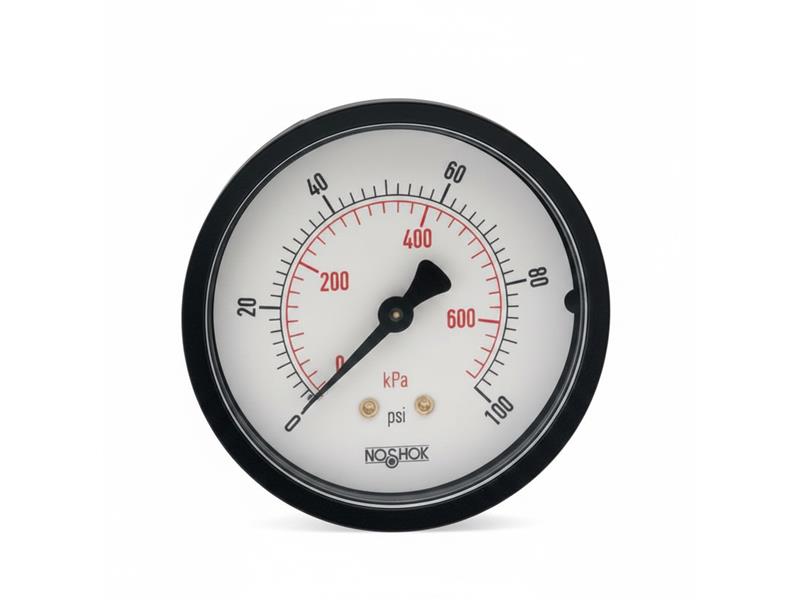 NOSHOK 25-110-160-PSI/KPA-SSB-PMC